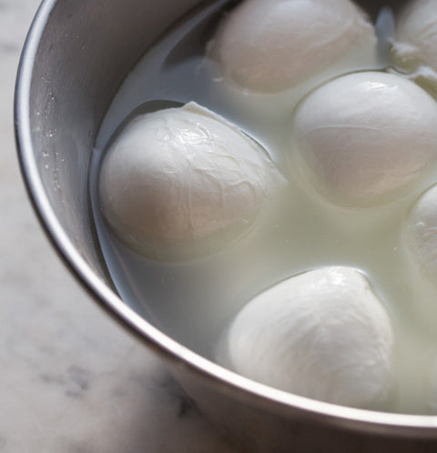 Mozzarella di Bufala Campana DOP