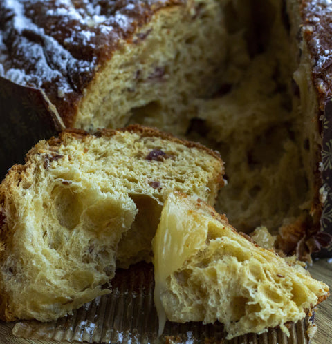 Panettone