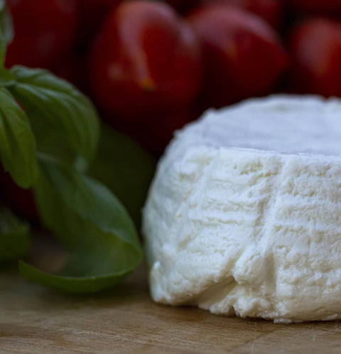 Ricotta