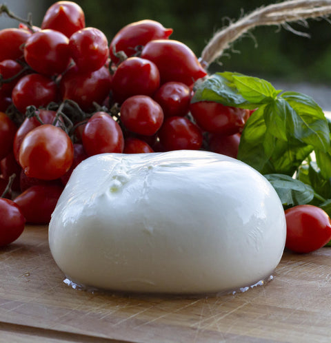 Buffalo Mozzarella