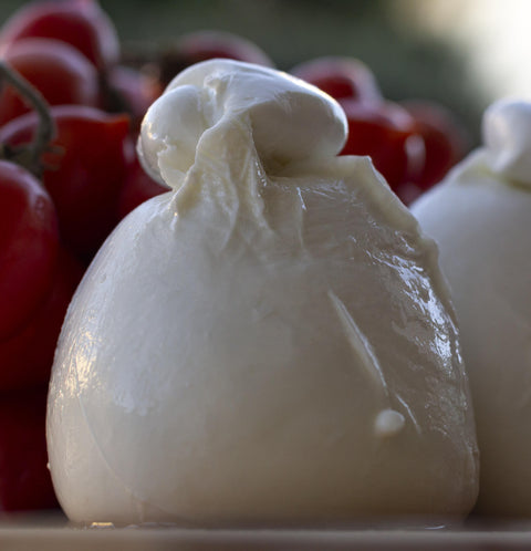 Burrata di Bufala