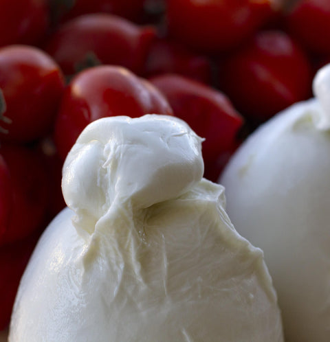 Buffalo Burrata