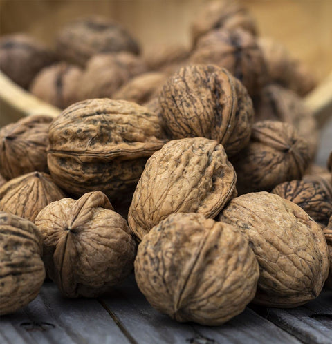 Walnuts from Sorrento