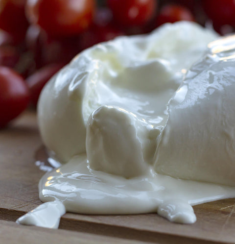 Buffalo Mozzarella