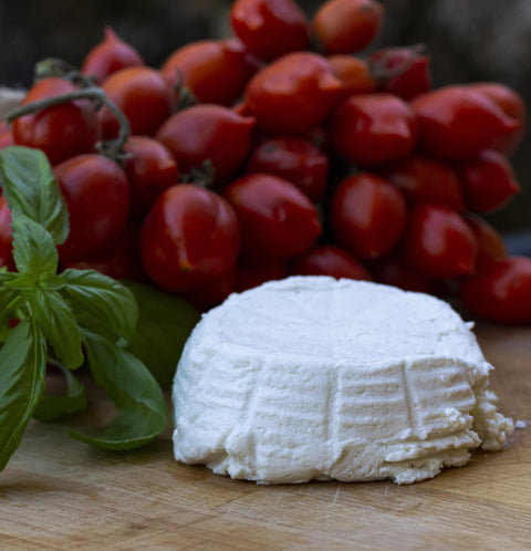 Ricotta